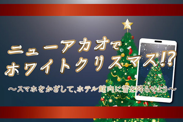 フォトコンテスト ～ニューアカオでホワイトクリスマス ～