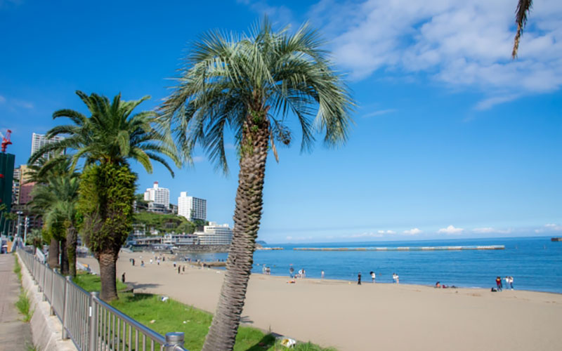 四季を通じて楽しめる海の景色