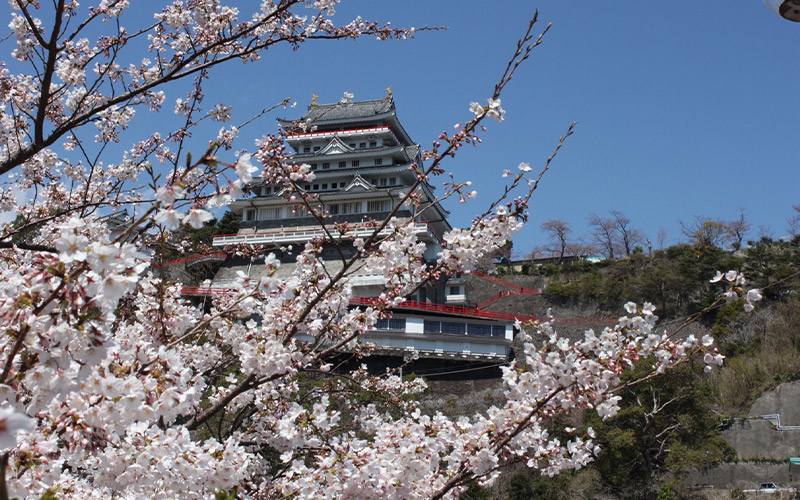 熱海城で絶景を楽しむ