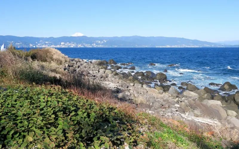 首都圏から一番近い離島の魅力