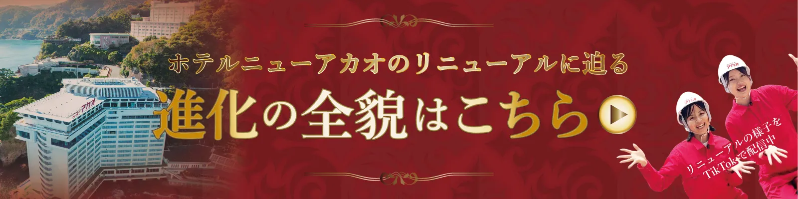 進化の全貌はこちら