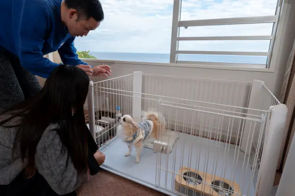 充実のワンちゃん用アメニティ