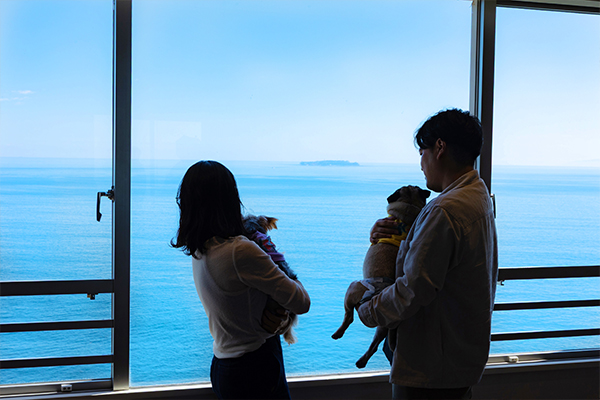 ペットルームキング