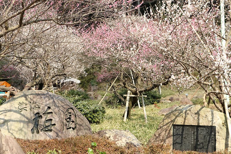 熱海梅園