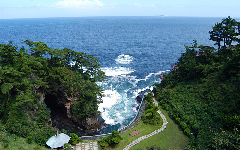 屋頂庭園